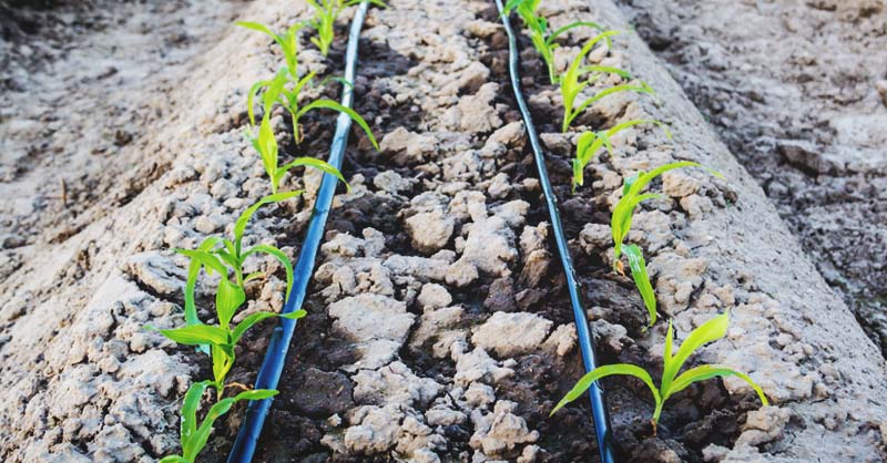 Drip irrigation system – estimated costs
